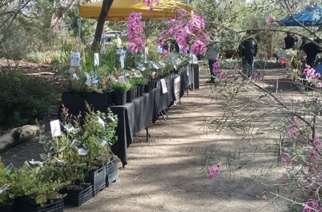 Nangawooka Flora Reserve, Australia